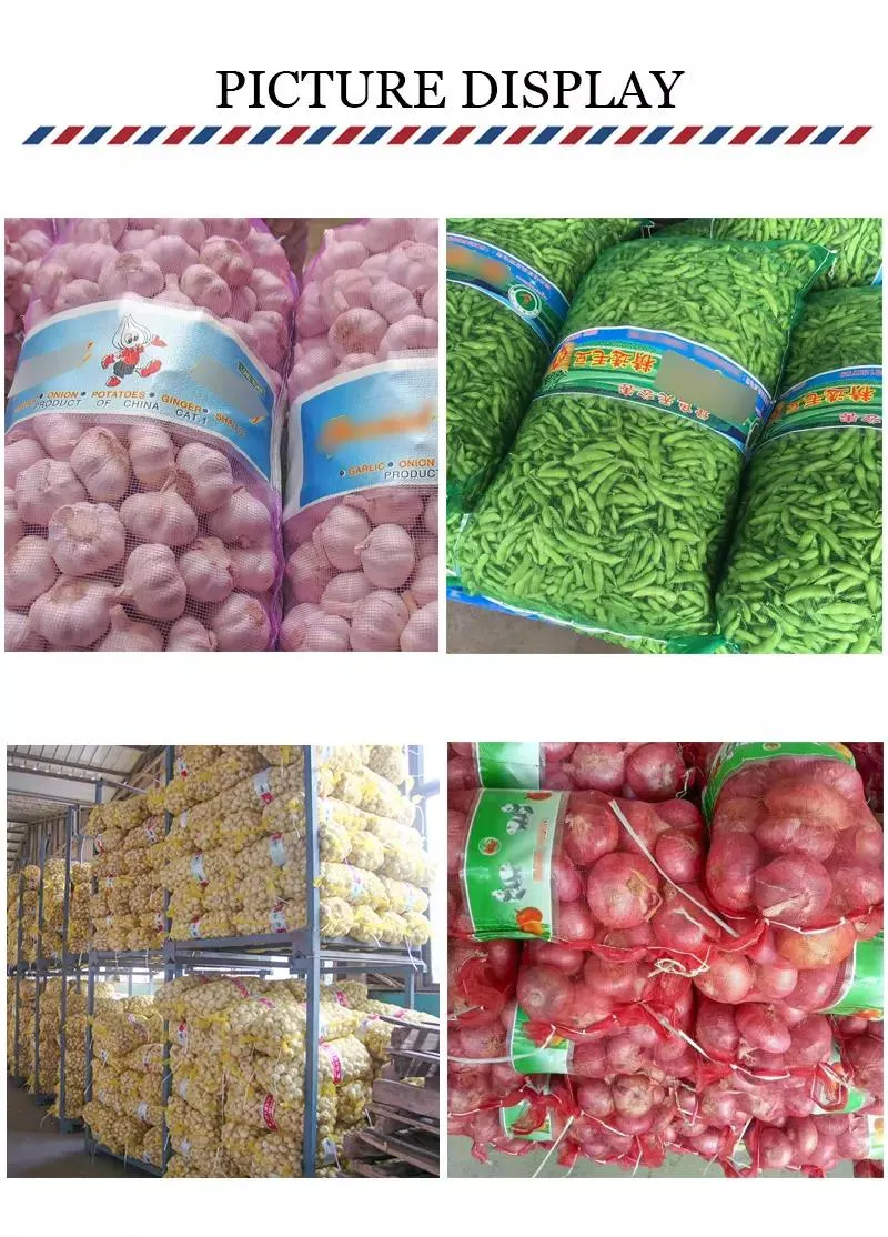 PP Mesh Bag Net for Fruit Packing Tubular Net Fruit Net Bag