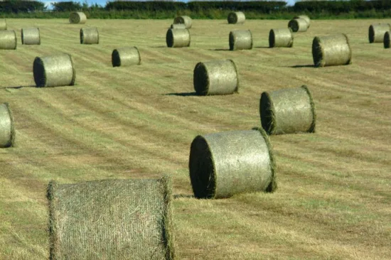 Red de plástico de 50 cm en rollo 100% HDPE utilizado para ensilaje de granja Red de envoltura de pacas de heno